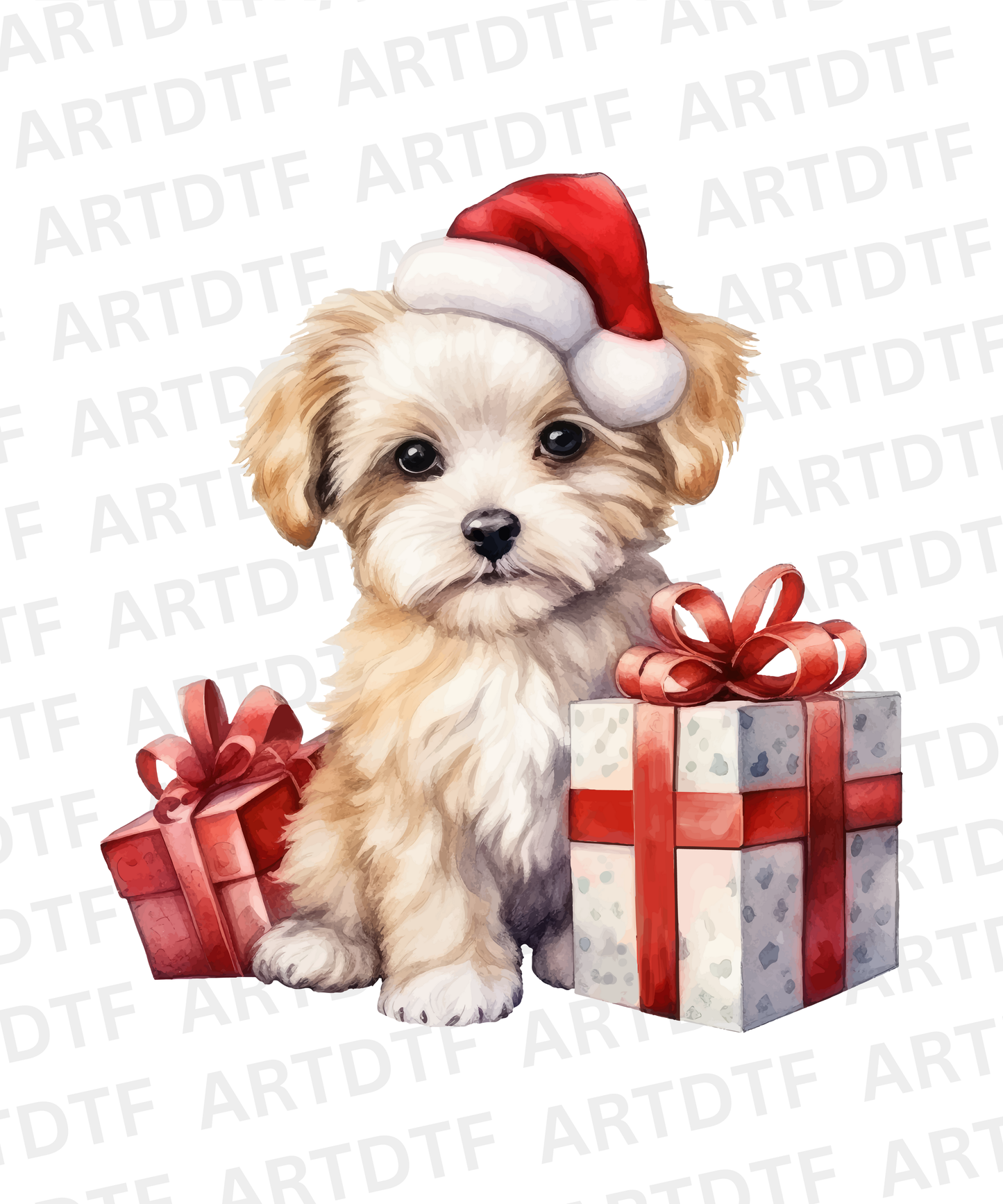 Christmas Season Transfer 24